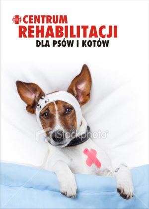 Centrum Rehabilitacji dla psów i kotów